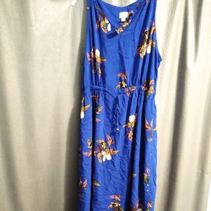 Women's Blue XL Dress